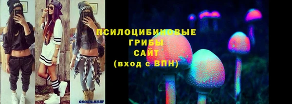 твердый Богородицк