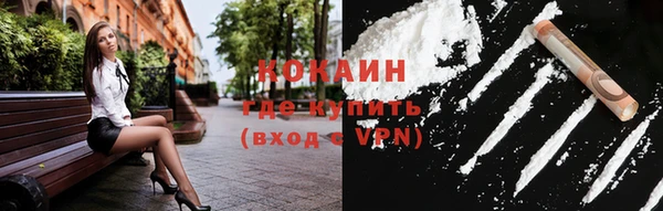 твердый Богородицк
