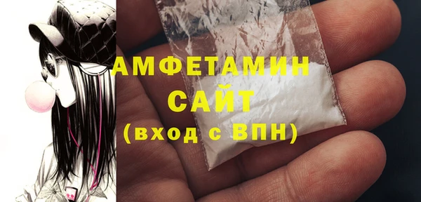 индика Дегтярск