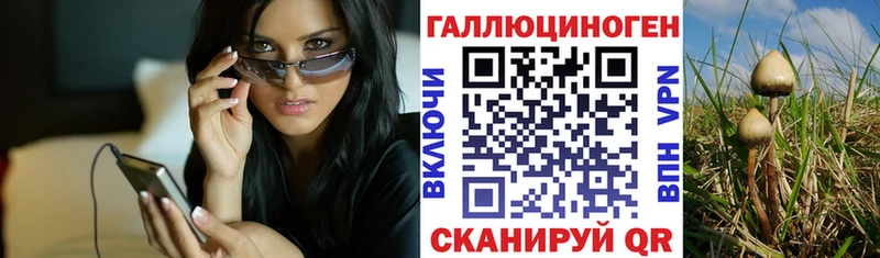 даркнет сайт  Луховицы  Галлюциногенные грибы Psilocybe 